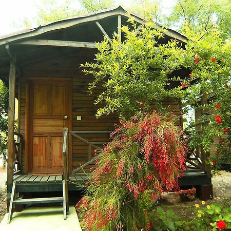 Merhaba Bungalow Beykonak Quarto foto
